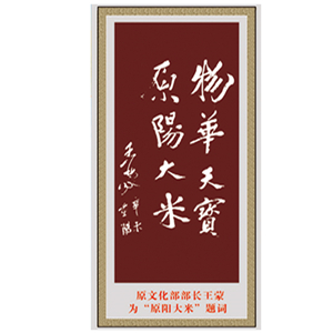 榮譽(yù)證書(shū)